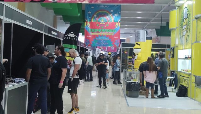 Cannabis, autos y autos: algunas recomendaciones para disfrutar CDMX