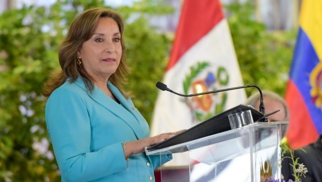 Dina Boluarte pide prescripción de investigación por presunto plagio de libro