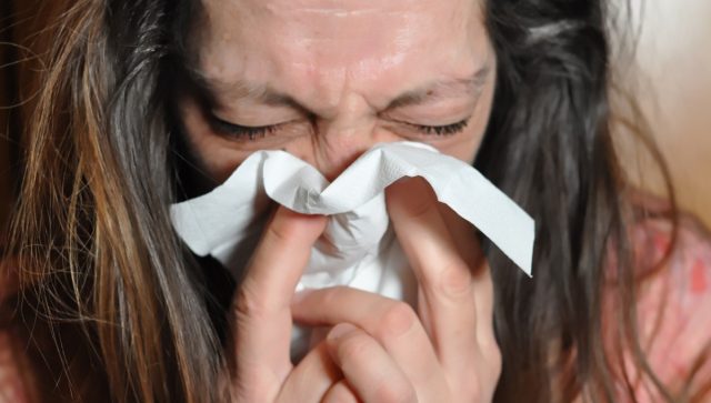 ¿Es seguro comer carne de pollo sin contagiarse de influenza aviar AH5 en Sonora?