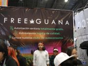 Dónde conseguir cannabis de uso legal en México: todo lo que hay que saber