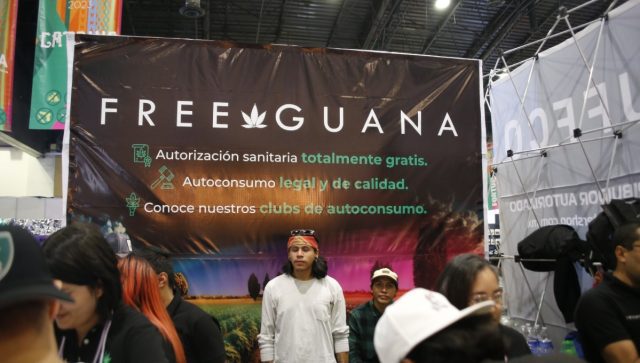 Dónde conseguir cannabis de uso legal en México: todo lo que hay que saber