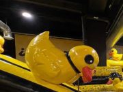 ¿Sin planes para el fin de semana? Visita Inflalandia Quack