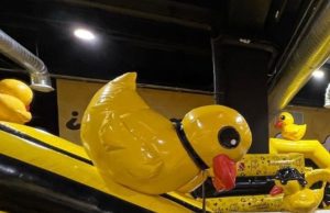 ¿Sin planes para el fin de semana? Visita Inflalandia Quack