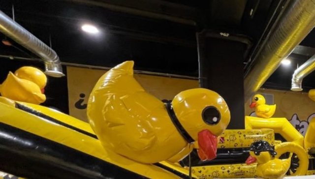 ¿Sin planes para el fin de semana? Visita Inflalandia Quack