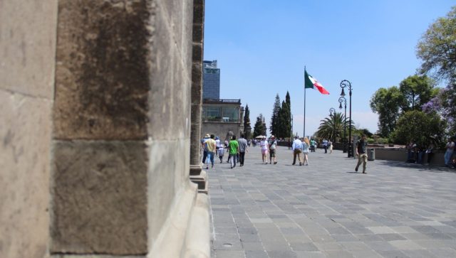 Arte y dinosaurios se apoderan de las actividades para fin de semana en CDMX