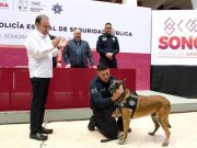 Jubilación de caninos policías: Sonora reconoce a perros al servicio de la seguridad