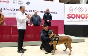 Jubilación de caninos policías: Sonora reconoce a perros al servicio de la seguridad