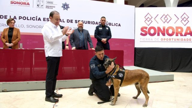 Jubilación de caninos policías: Sonora reconoce a perros al servicio de la seguridad
