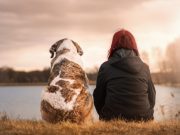 Si llega el momento, dale una despedida digna y en paz a tu mascota