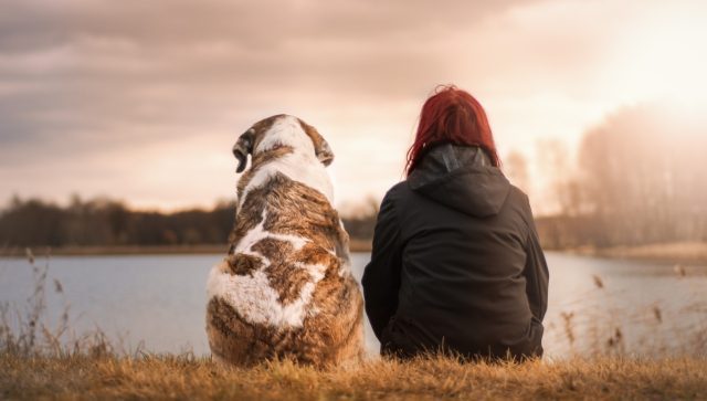 Si llega el momento, dale una despedida digna y en paz a tu mascota