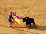 AMLO sugiere consulta ciudadana respecto a que vuelvan las corridas de toros