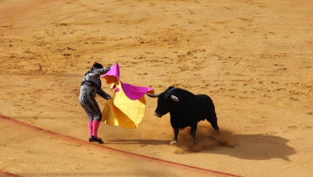 AMLO sugiere consulta ciudadana respecto a que vuelvan las corridas de toros
