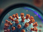 OMS emite alerta global sobre la viruela del mono Molécula del virus del mono