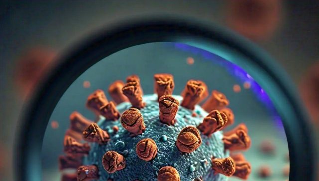 OMS emite alerta global sobre la viruela del mono Molécula del virus del mono