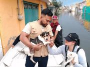 Ssa y Cruz Roja implementan operaciones sanitarias en Chalco Ayuda en Chalco