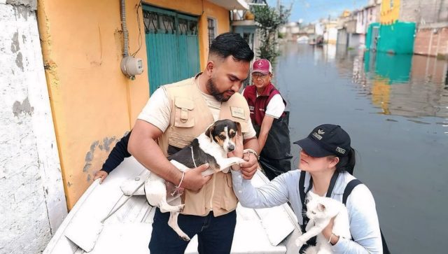 Ssa y Cruz Roja implementan operaciones sanitarias en Chalco Ayuda en Chalco