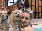 Youtuber YosStop enfrenta nueva detención por uso de redes sociales YosStop y su perro en la piscina