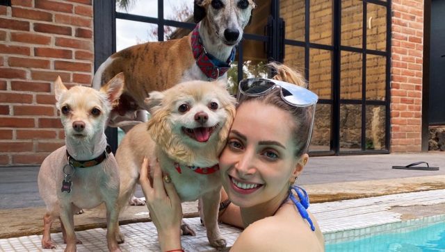 Youtuber YosStop enfrenta nueva detención por uso de redes sociales YosStop y su perro en la piscina