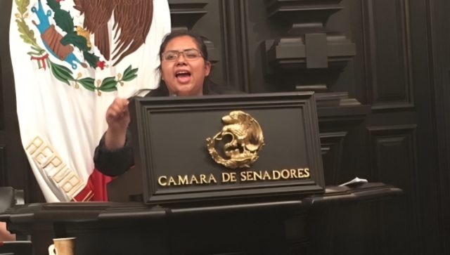 Nelly Juárez Audelo: Hacia la inclusión y justicia social de los pueblos originarios en la CDMX Nelly Juarez