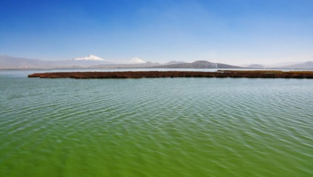 Autoridades investigan colapso en Parque Ecológico de Texcoco Parque Ecológico de Texcoco