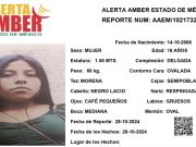 ALERTA AMBER: Desaparecieron Fernanda Nathaly Santiago Pompa y Enya Rubí Corona Pérez en Ecatepec Estado de México
