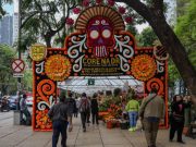 Festival de las Flores de Cempasúchil con los mejores precios para tu ofrenda