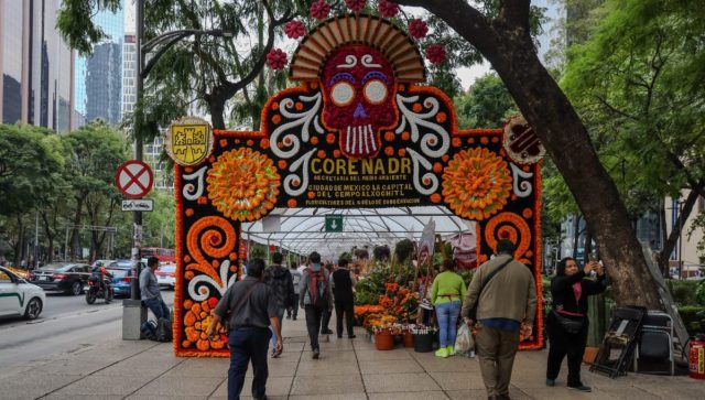 Festival de las Flores de Cempasúchil con los mejores precios para tu ofrenda