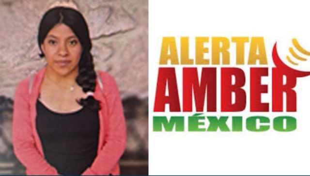Alerta Amber para localizar a Fátima López, quien desapareció tras salir de su casa en Guanajuato Fátima López Domínguez