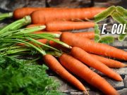 Brote de E. coli en zanahorias deja un muerto en EE.UU.
