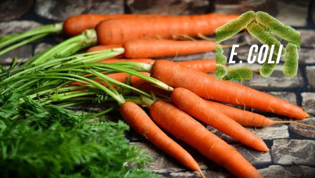 Brote de E. coli en zanahorias deja un muerto en EE.UU.