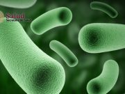 Alerta en México: brote de bacteria Klebsiella oxytoca