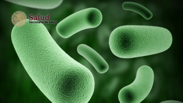 Alerta en México: brote de bacteria Klebsiella oxytoca