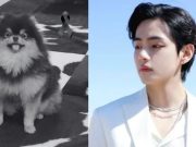Yeontan, el querido perro de V de BTS, fallece