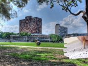 ¿Cuántos aciertos necesitas para ingresar las carreras de Área 1 en la UNAM?
