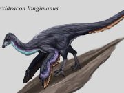 Descubren nueva especie de dinosaurio en Coahuila