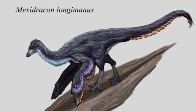 Descubren nueva especie de dinosaurio en Coahuila