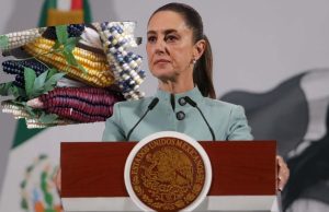 México avanza en la prohibición del maíz transgénico