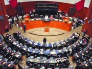 “Plan B” de la presidenta pasa Cámara de Senadores, mañana va a Cámara de Diputados.