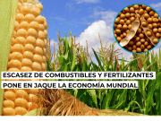 Crisis de fertilizantes y gasolina elevan riesgo de shock global