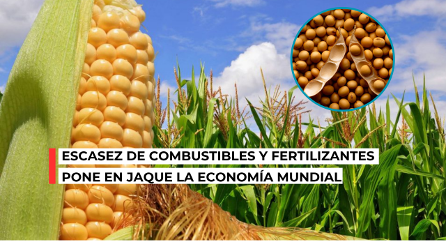 Crisis de fertilizantes y gasolina elevan riesgo de shock global