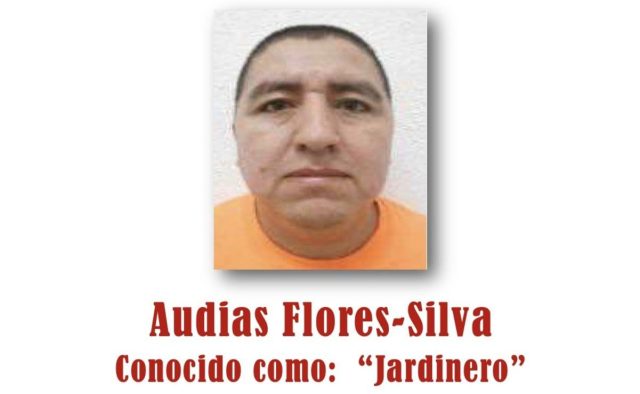 Capturan a “El Jardinero” en Nayarit, sucesor de “El Mencho”