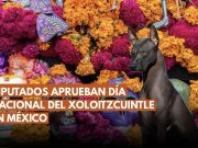 Cámara de Diputados aprueba la creación del Día Nacional del Xoloitzcuintle