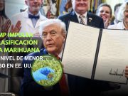EE. UU. reclasifica la marihuana a menor nivel de riesgo: Trump