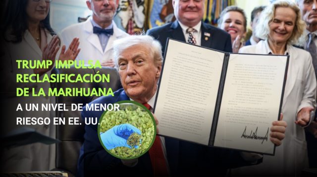 EE. UU. reclasifica la marihuana a menor nivel de riesgo: Trump