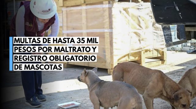 Maltrato a mascotas tendrá multas de hasta 35 mil pesos