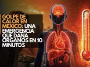 Golpe de calor en México: Una emergencia que daña órganos en 10 minutos