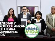 Alianza garantiza calidad y precios justos en ‘Sembrando Vida’