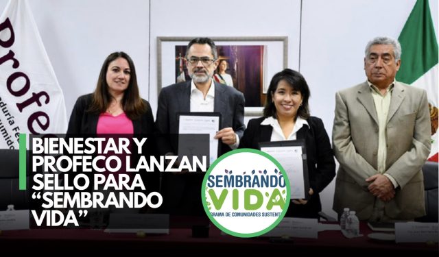 Alianza garantiza calidad y precios justos en ‘Sembrando Vida’