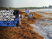 Sargazo romperá récord en 2026 con 40 millones de toneladas