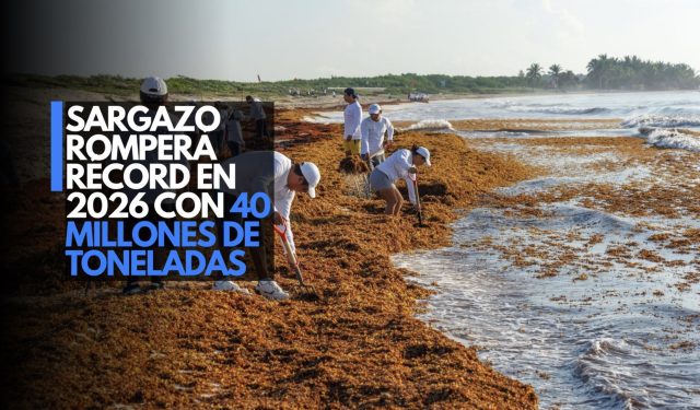 Sargazo romperá récord en 2026 con 40 millones de toneladas